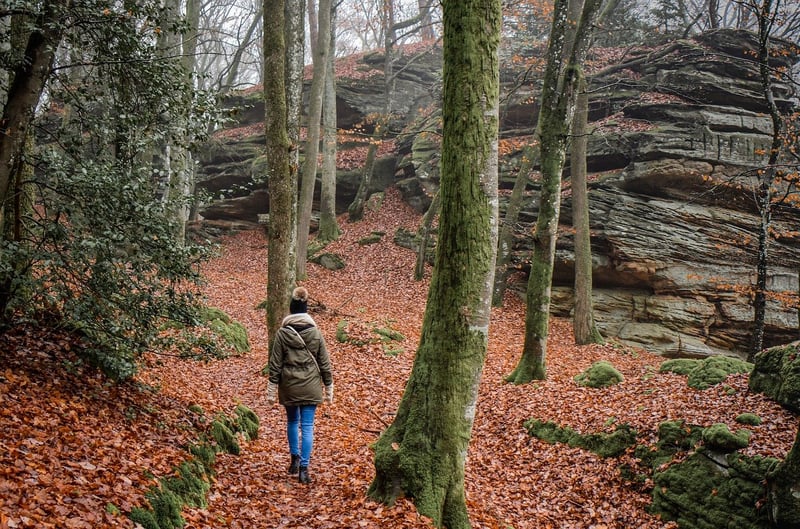 Hiking Expeditions