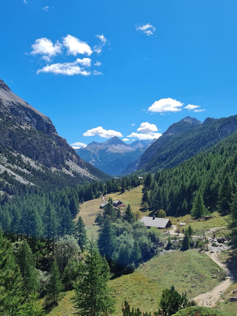 Mountain Chalets