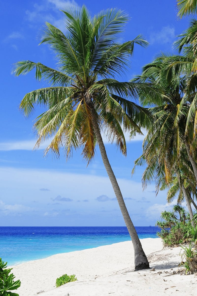 Surfing Retreat Location